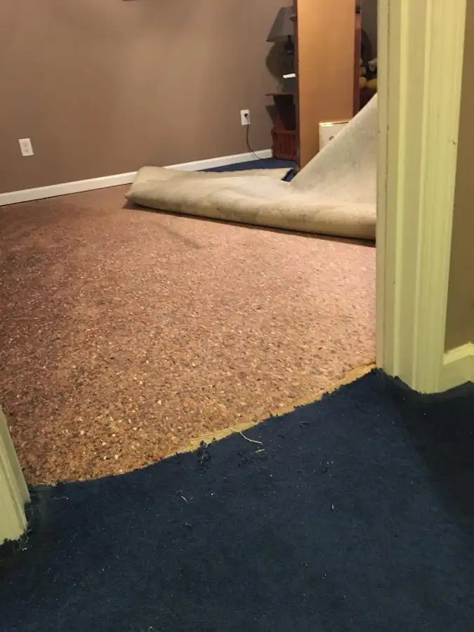 Carpet pad removal revealing water damage during Water Mitigation Services in Beacon Falls